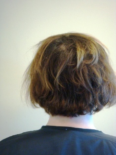 Before Hair Extensions, front view