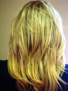 Before Hair Extensions, Back View