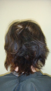 Before Hair Extensions, Back View