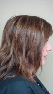 Before Hair Extensions, Side View