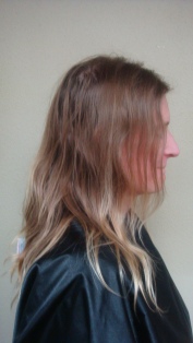 Before Hair Extensions, Back View