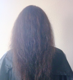 Before Hair Extensions, Side View