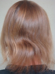 Before Hair Extensions, Back View