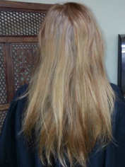 Before Hair Extensions, Back View