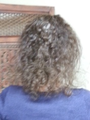 Before Hair Extensions, Back View