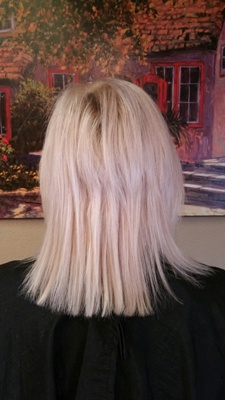 Before Hair Extensions, back view