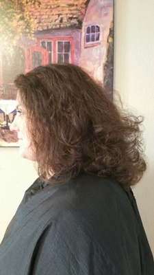 Before Hair Extensions, Side View