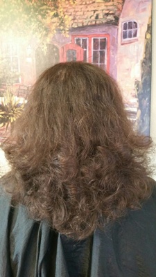 Before Hair Extensions, Back View