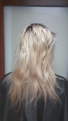 Before Hair Extensions, Back View