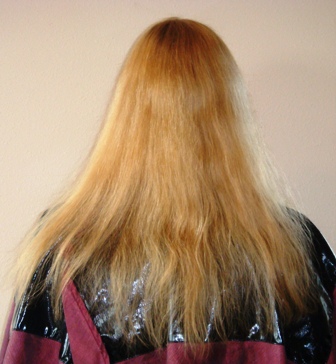 Before Hair Extensions, Back View