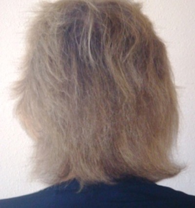 Before Hair Extensions, Back View