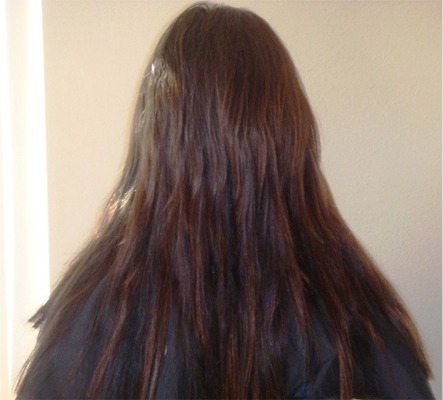 Before Hair Extensions, Side View
