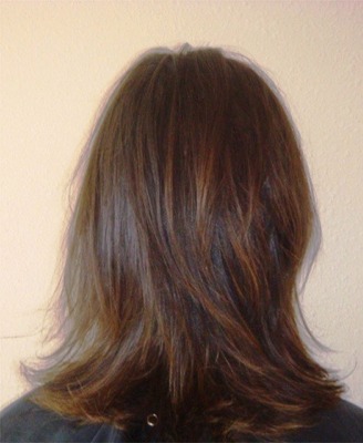 Before Hair Extensions, Back View