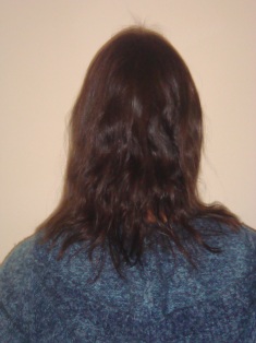 Before Hair Extensions, Back View