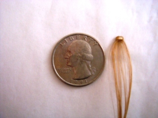 Before Hair Extensions, Back View