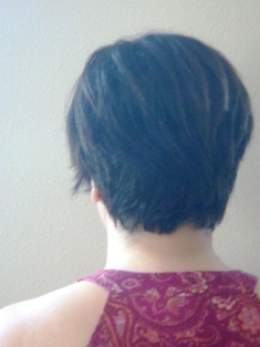 Before Hair Extensions, Side View