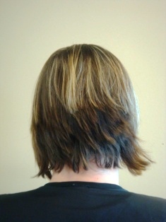 Before Hair Extensions, Side View