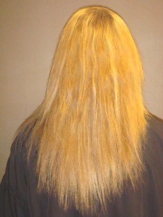 Before Hair Extensions, Back View